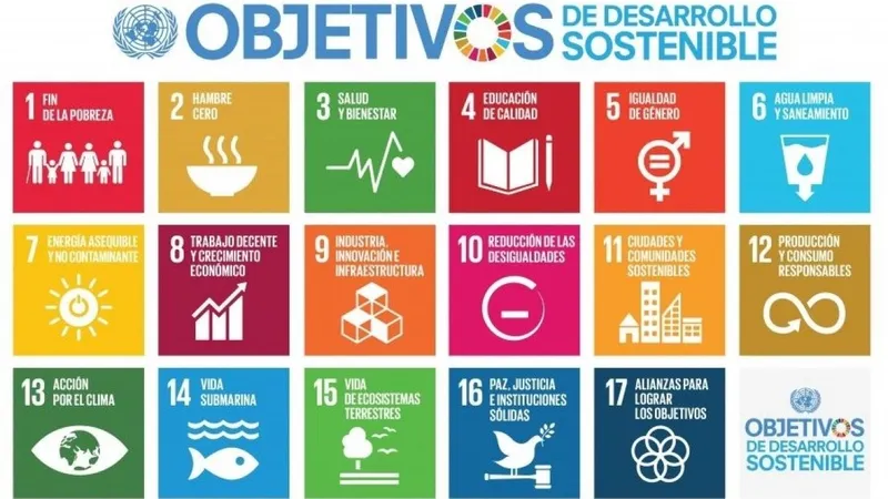 Objetivos de Desarrollo Sostenible